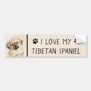 Tibetan Spaniel Painting - Cute Original Dog Art Bumper Sticker