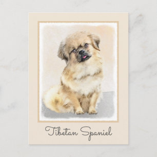 Tibetan Spaniel Painting - Cute Original Dog Art Postcard