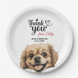 Tibetan Spaniel Paper Plate