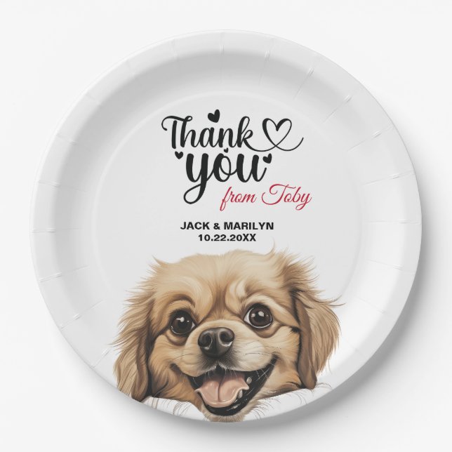 Tibetan Spaniel Paper Plate (Front)