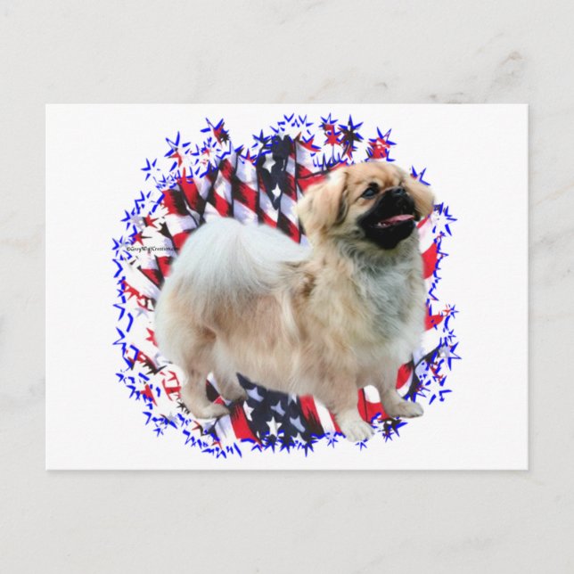 Tibetan Spaniel Patriot Postcard (Front)