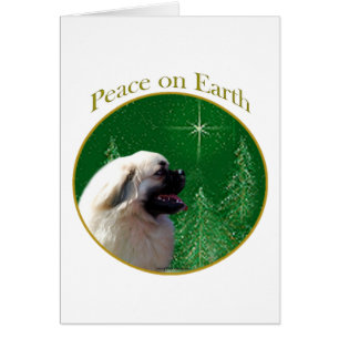Tibetan Spaniel Peace