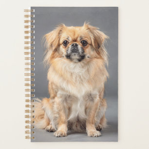 Tibetan Spaniel Planner