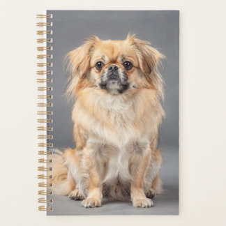 Tibetan Spaniel Planner