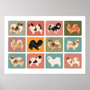 Tibetan Spaniel Poster (12 Different Tibbies!)