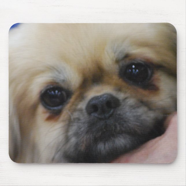 Tibetan Spaniel Puppy Mouse Pad (Front)