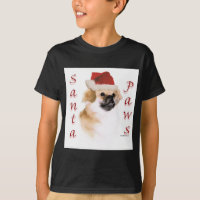 Tibetan Spaniel Santa Paws