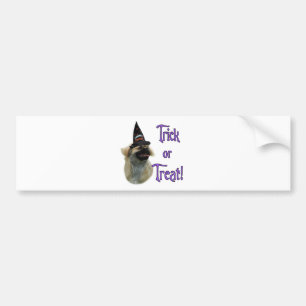 Tibetan Spaniel Trick Bumper Sticker