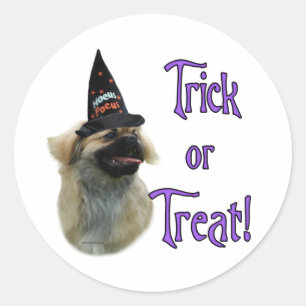 Tibetan Spaniel Trick Classic Round Sticker