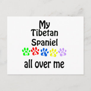 Tibetan Spaniel Walks Design Postcard