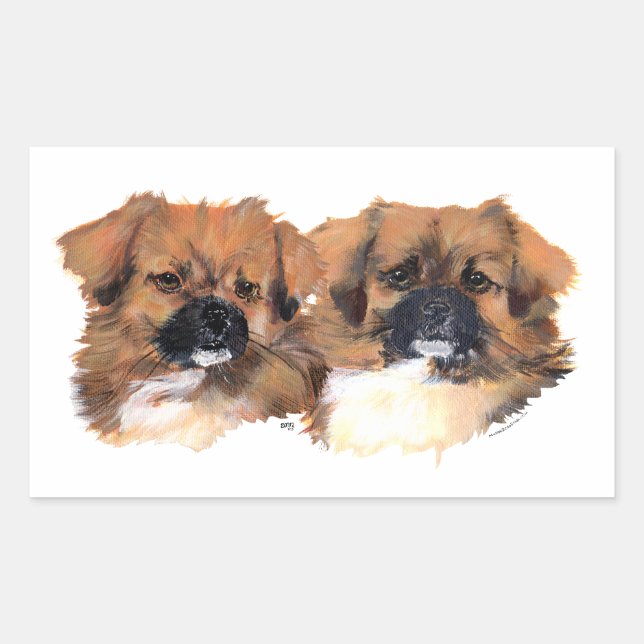 Tibetan Spaniels Head Study Rectangular Sticker (Front)