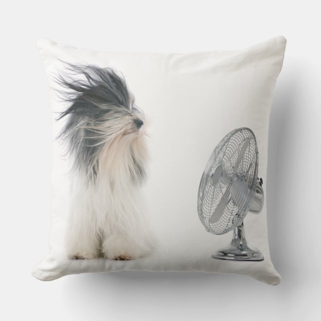Tibetan terrier and his fan outdoor cushion (Front)
