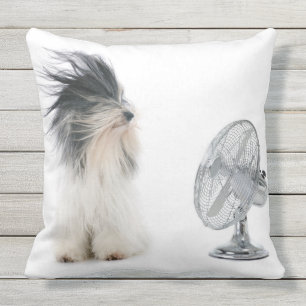 Tibetan terrier and his fan outdoor cushion