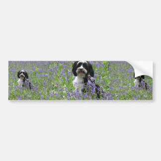 Tibetan Terrier Bumper Sticker
