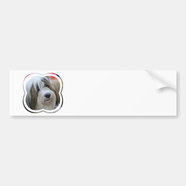Tibetan Terrier Bumper Sticker (Front)