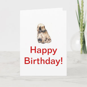 Tibetan Terrier Card