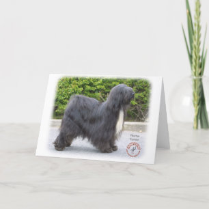 Tibetan Terrier Card