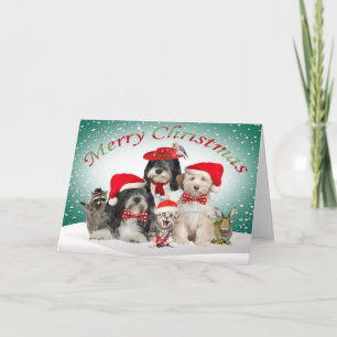 Tibetan Terrier Christmas With Friends Holiday Card