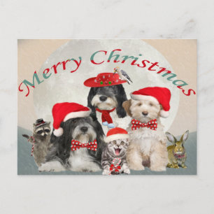 Tibetan Terrier Christmas With Friends Holiday Postcard