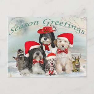 Tibetan Terrier Christmas With Friends Holiday Postcard