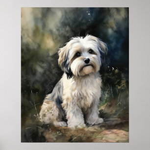 Tibetan Terrier Dog Art Print Poster