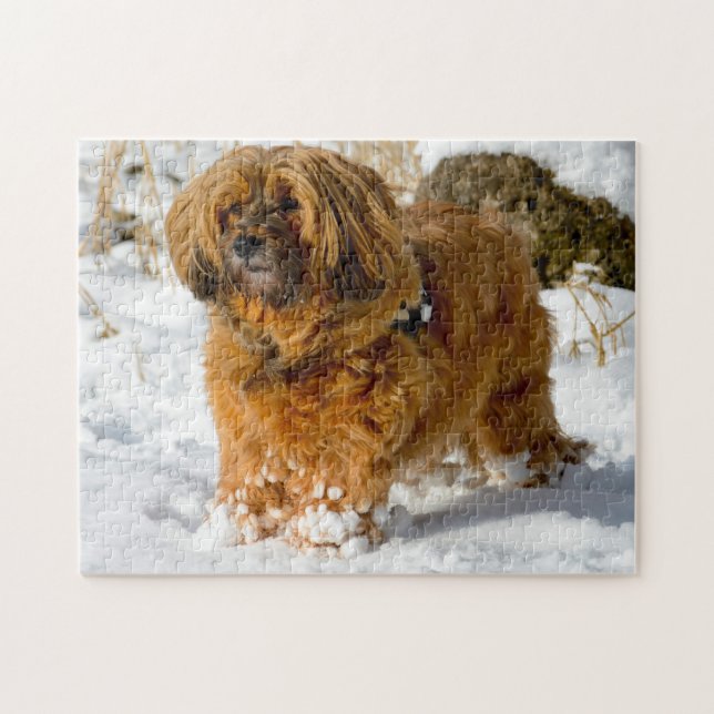 Tibetan Terrier Dog Jigsaws. Jigsaw Puzzle (Horizontal)