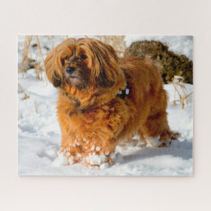 Tibetan Terrier Dog Jigsaws. Jigsaw Puzzle