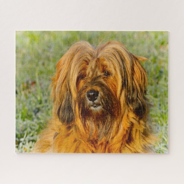 Tibetan Terrier Dog Jigsaws. Jigsaw Puzzle (Horizontal)