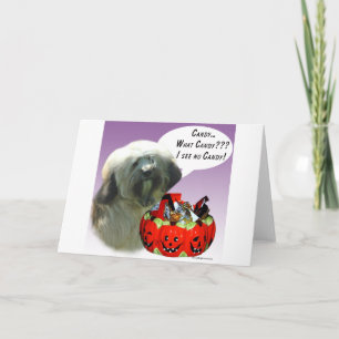 Tibetan Terrier Halloween Candy Card