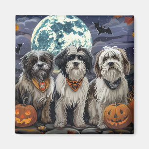 Tibetan Terrier Halloween Spooky Magnet
