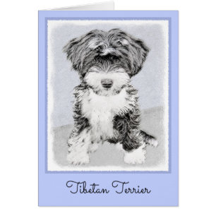 Tibetan Terrier Painting - Cute Original Dog Art