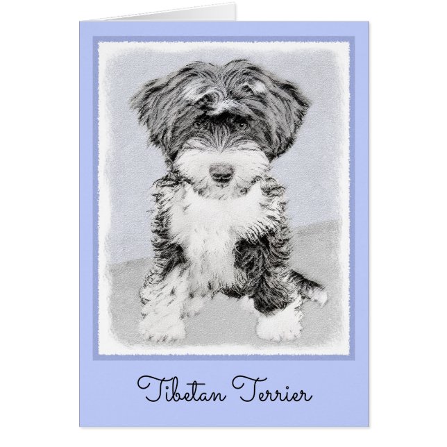 Tibetan Terrier Painting - Cute Original Dog Art (Front)