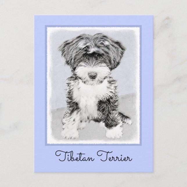 Tibetan Terrier Painting - Cute Original Dog Art Postcard (Front)