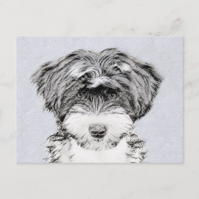 Tibetan Terrier Painting - Cute Original Dog Art Postcard (Front)
