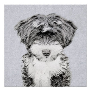 Tibetan Terrier Painting - Cute Original Dog Art Poster