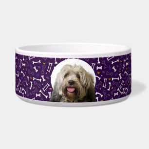Tibetan Terrier Personalised Photo & Name Dog Bowl