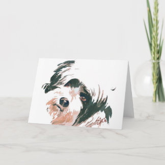 Tibetan Terrier portrait Card