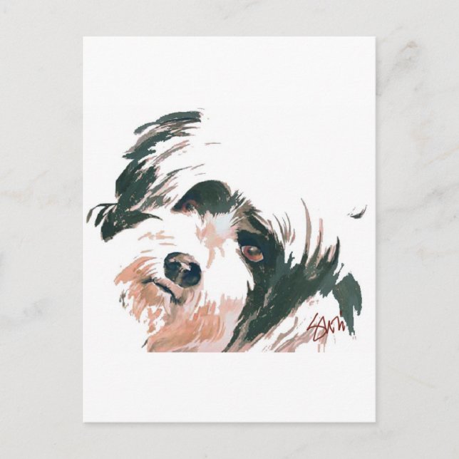 Tibetan Terrier portrait Postcard (Front)