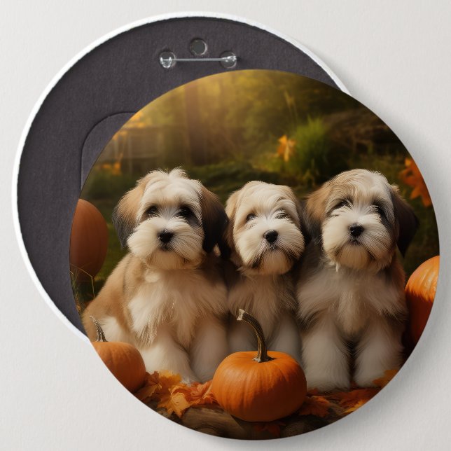 Tibetan Terrier Puppy Autumn Delight Pumpkin 6 Cm Round Badge (Front & Back)