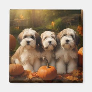 Tibetan Terrier Puppy Autumn Delight Pumpkin Magnet