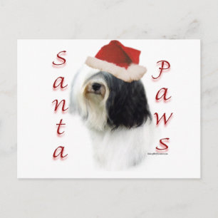 Tibetan Terrier Santa Paws Holiday Postcard