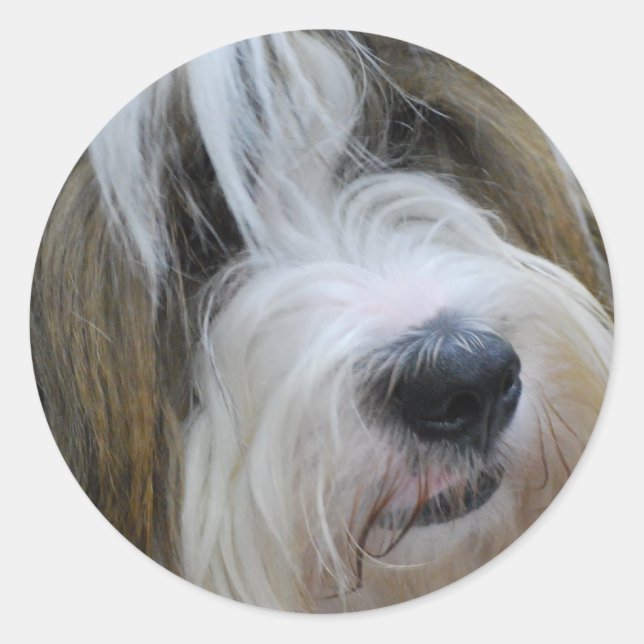 Tibetan Terrier Stickers (Front)