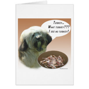 Tibetan Terrier Turkey