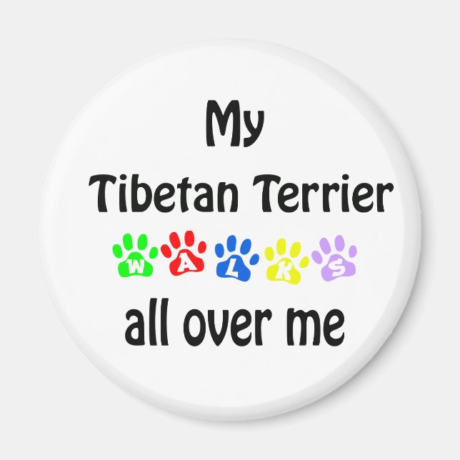 Tibetan Terrier Walks Design Magnet (Front)