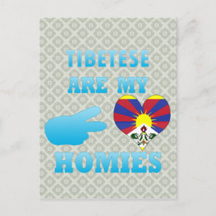 Tibeteses are my Homies Postcard