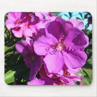 Tibouchina flowers mouse pad