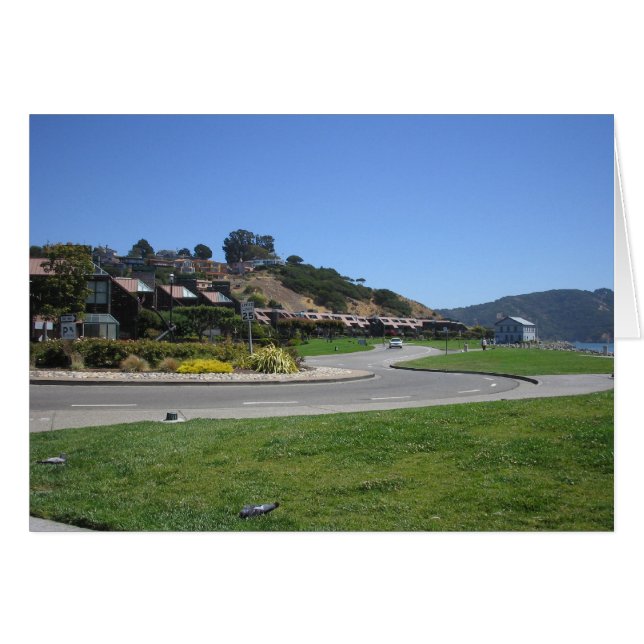Tiburon (Front Horizontal)