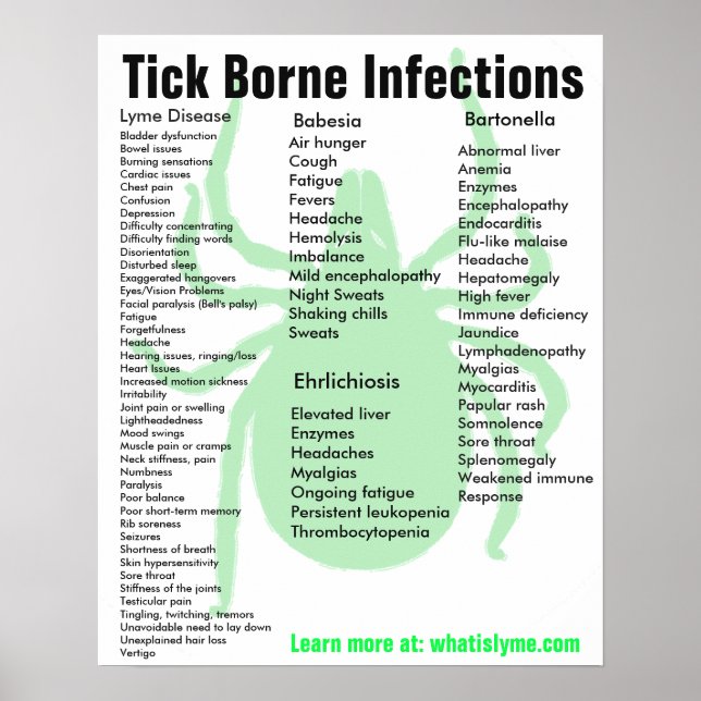 Tick Borne Infections Symptoms Educational Poster (Front)