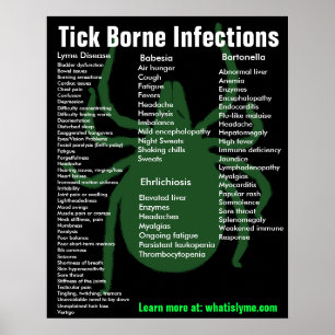 Tick Borne Infections Symptoms Educational Poster