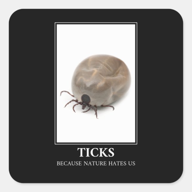 Ticks Because Nature Hates Us – Parasite Fun Square Sticker (Front)